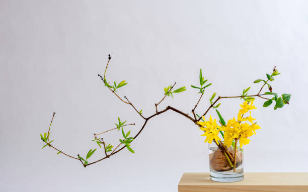 Ikebana, a Gift of Nature 生け花, 活け花